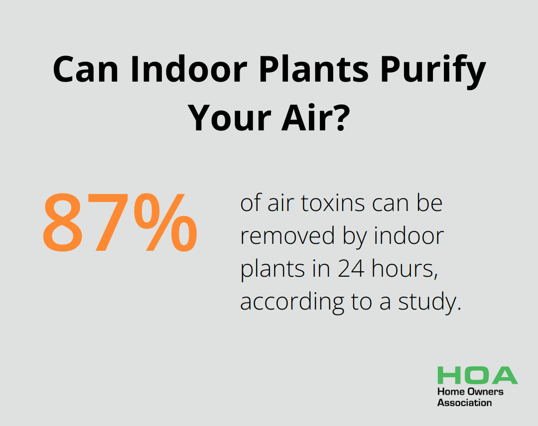 Infographic: Can Indoor Plants Purify Your Air?